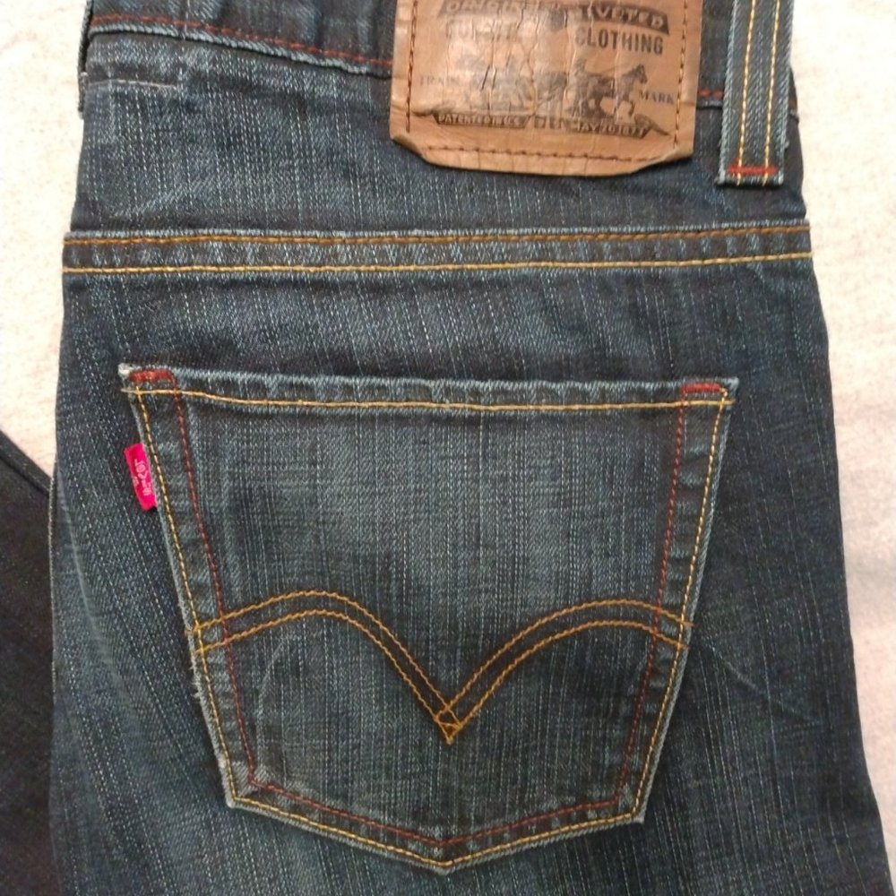 Levi's 511 Men's 32x34